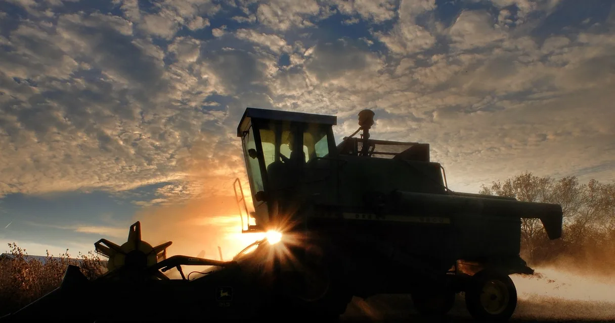 Colheitadeira trabalhando no campo contra o sol baixo do fim da tarde